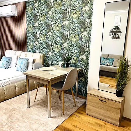 Apartament Vega *