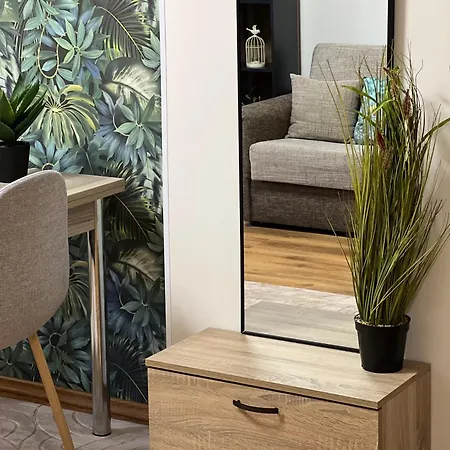 Apartament Vega