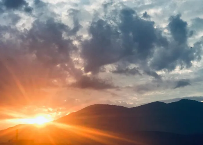 Vega 벨린그래드