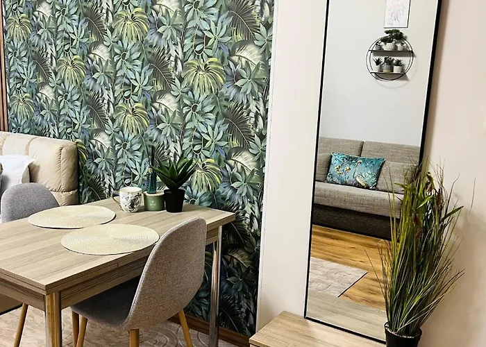 Vega 벨린그래드